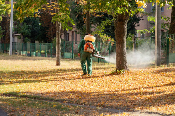 Professional Pest Control in Ellport, PA